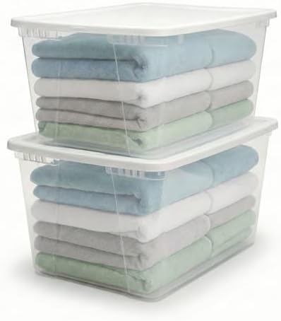 HOMZ Snaplock, Large Clear Plastic Storage Organizer Bins w/Lids, 2 Pack | Stackable Container Set for Home, Office Shelves, Kitchen, Garage, and Bathroom Organization by Homz