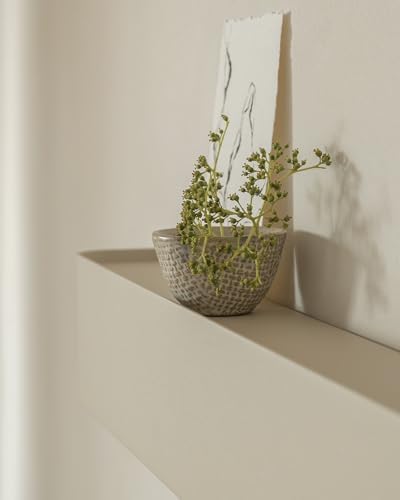 Kazai. Coat Rack Wall Mount with Shelf 'Tone' | Modern Design Coat Hanger with Hidden Hooks and Storage | Hat Rack with Shelf in Metal | Wall-Mounted Purse Organizer | Sand Taupe - Image 2