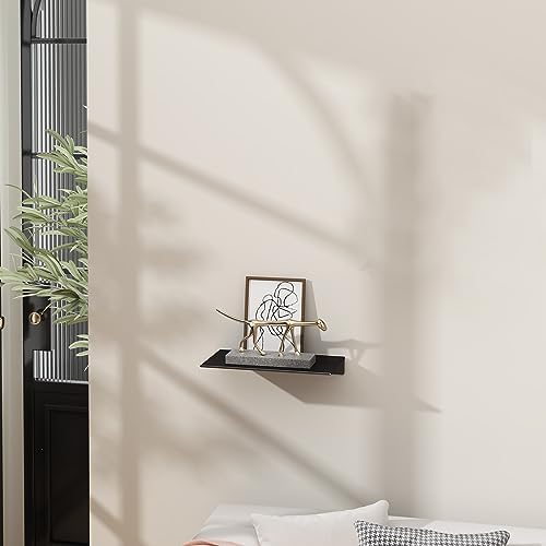 Danpoo 8 inch Small Floating Shelf for Wall Organizer & Storage, Mini Display Shelf, Metal Wall Shelf for Bathroom, Living Room, Kitchen, Bedroom(Matte Black) - Image 2