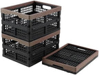 Collapsible Storage Crates, 15 L Plastic Foldable Bins, Set of 3 by Melontray