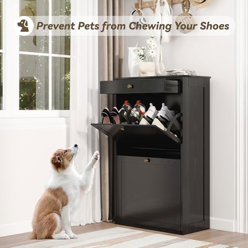 Shoe Storage Cabinet with 2 Flip Drawers, Shoe Cabinet Organizer, Black - Image 3