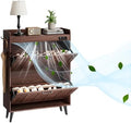 ChooChoo Shoe Storage Cabinet with 2 Flip Drawers and Deodorizer by ChooChoo