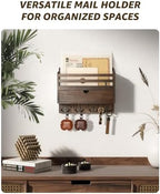 Rebee Vision Mail Organizer Wall Mount with Hooks for Entryway, Retro Brown - Image 2