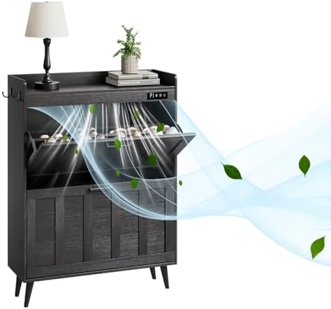 ChooChoo Shoe Storage Cabinet with 2 Flip Drawers and Deodorizer by ChooChoo