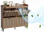 ChooChoo Shoe Storage Cabinet with 4 Flip Drawers and Deodorizer by ChooChoo