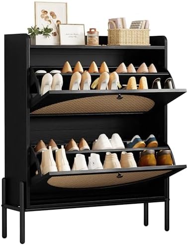 IRONCK Rattan Shoe Cabinet Storage with 2 Flip Drawers, Black by IRONCK