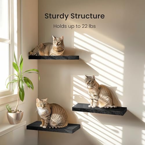 Amada 15.7" Floating Shelves for Wall Decor & Storage, Set of 3, Black - Image 3