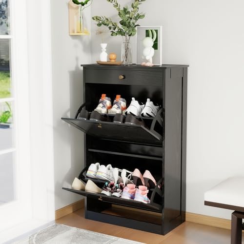 Shoe Storage Cabinet with 2 Flip Drawers, Shoe Cabinet Organizer, Black by FTZxHKLX