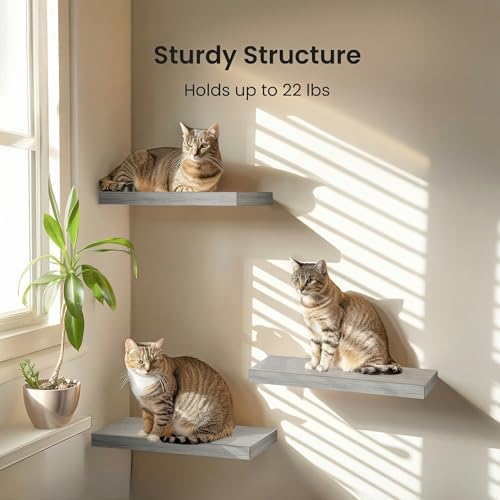 Amada 15.7" Floating Shelves for Wall Decor & Storage, Set of 3, Gray - Image 3