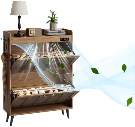 ChooChoo Shoe Storage Cabinet with 2 Flip Drawers and Deodorizer by ChooChoo