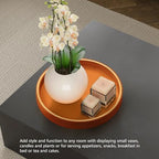 SANZIE Leather Tray Desktop Storage Organizer, Round Valet Tray, Orange - Image 5