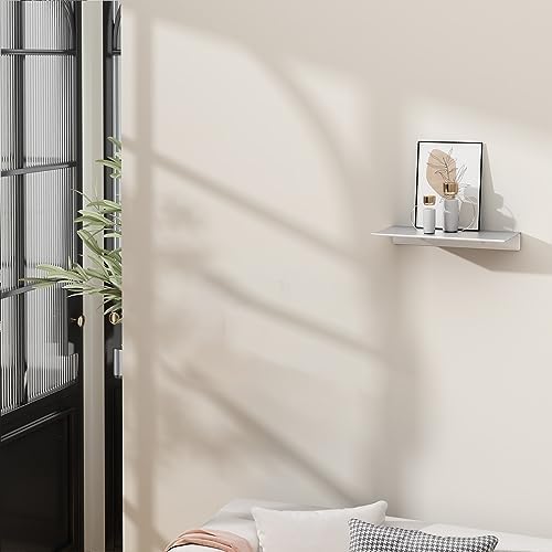 Danpoo 8 inch Small Floating Shelf for Wall Organizer & Storage, Mini Display Shelf, Metal Wall Shelf for Bathroom, Living Room, Kitchen, Bedroom(Silver) - Image 2