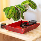 Londo Genuine Leather Tray Organizer - Practical Lightweight Water Resistant Computer Table Desk Storage Box for Wallets, Watches, Keys, Coins, Cell Phones and Office Equipment - Image 6