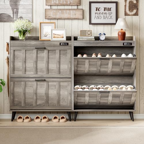 ChooChoo Shoe Storage Cabinet with 2 Flip Drawers and Deodorizer - Image 2