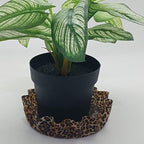 Andreas Silicone LP4-952 Cheetah 4" Lillie Pad - Image 7