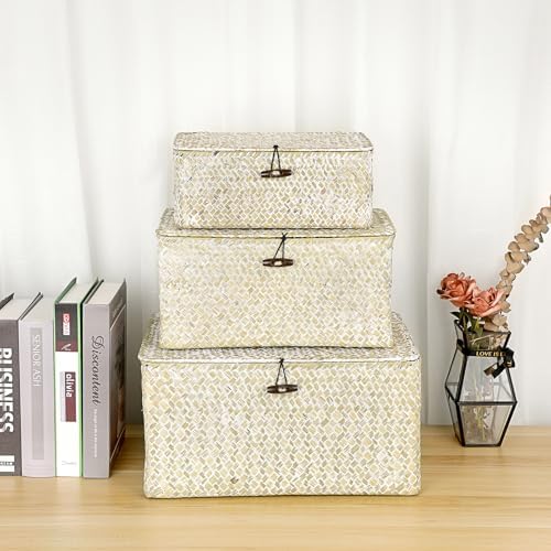 Hipiwe Wicker Shelf Baskets Bin with Lid, Large Seagrass Basket Storage Box - Image 6