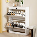 FTZxHKLX Shoe Cabinet, Hidden Shoe Storage Cabinet with 2 Flip Drawers by FTZxHKLX
