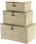 Hipiwe Set of 3 Wicker Storage Basket Bin with Lid Large Woven Seagrass Box by Hipiwe