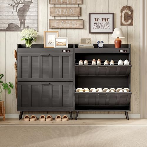 ChooChoo Shoe Storage Cabinet with 2 Flip Drawers and Deodorizer - Image 2