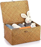 Hipiwe Wicker Shelf Baskets Bin with Lid Handwoven Storage Basket, X-Large by Hipiwe