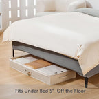 Berdeng 3 Pack Under Bed Storage Containers, Low Profile Underbed Shoes and Clothes Storage Organizer with Sturdy Sidewalls/Bottom, Large Dorm Storage Bins,33 * 17 * 4.5 inches,45L - Image 2